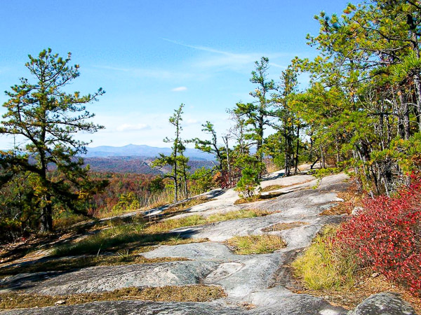 Fun things to do in Brevard NC : Cedar Rock Mountain in DuPont State Forest in Hendersonville, NC. 