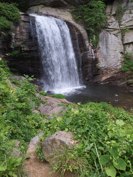 Looking Glass Falls in Pisgah Forest. 