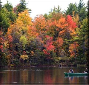 Colors of Fall canoe padding in Brevard NC. 