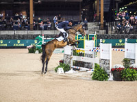 Tryon Equestrian Center. 