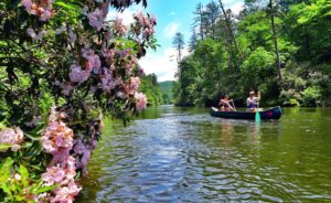 Signs of Spring canoe padding in Brevard NC. 